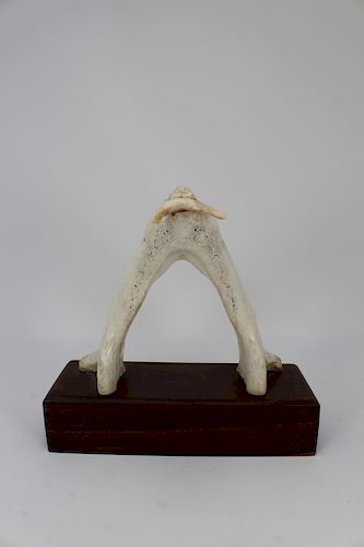 Inuit, Carved Bone Walrus Holding Fish