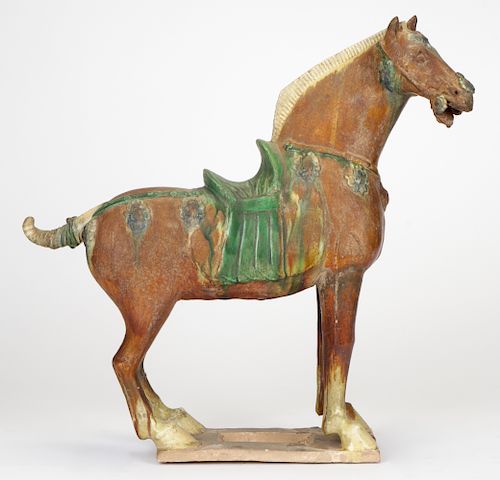 A Sancai Glazed Tang Dynasty Horse, China