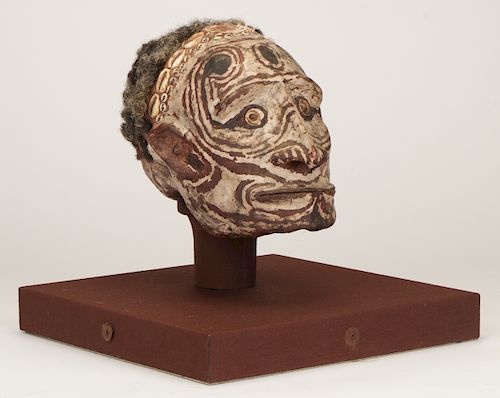 Exceptional PNG Sepik River Skull Portrait