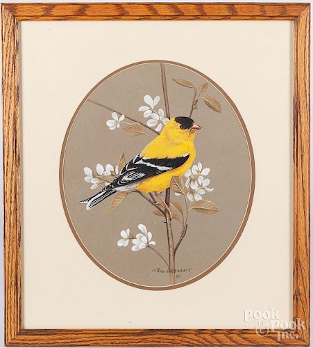 Rob Arbogast, mixed media of a finch, etc.