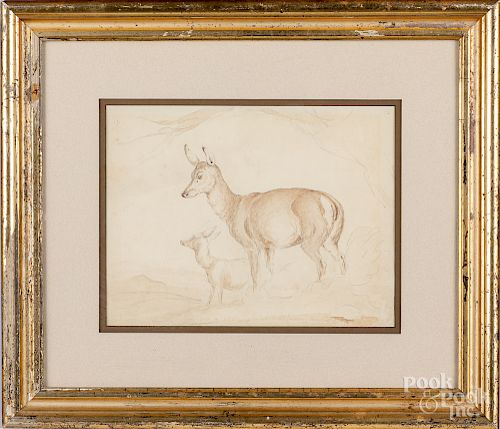 Watercolor sketch of a deer, etc.