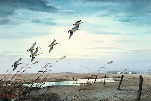 Les Kouba, Untitled (Flying Geese)