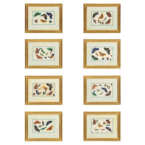 Set of Eight Chinese Rice Paper Paintings of Butterflies and Insects