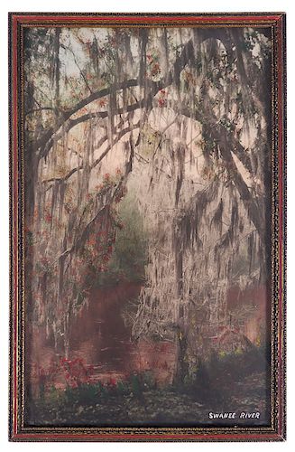 SUWANNEE RIVER, Hand Colored Photograph