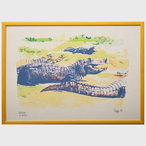 20th Century School: Alligators