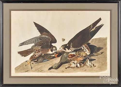 John James Audubon engraving and aquatint