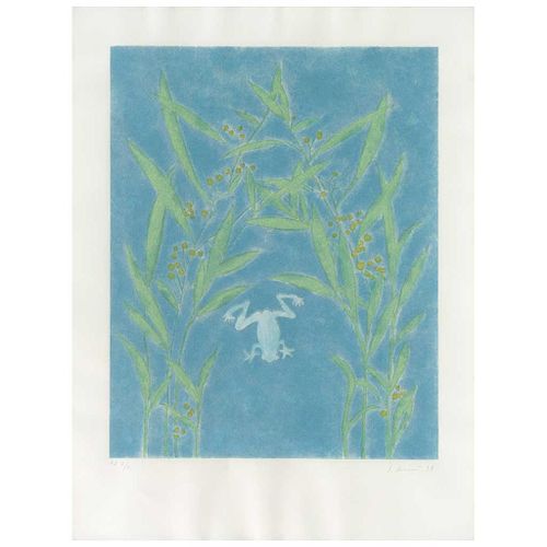 JUAN SORIANO, La ranita (“The Little Frog”), Signed & dated 98, Screenprint P. I. 2 / 2, 19.6 x 15.7” (50 x 40 cm)
