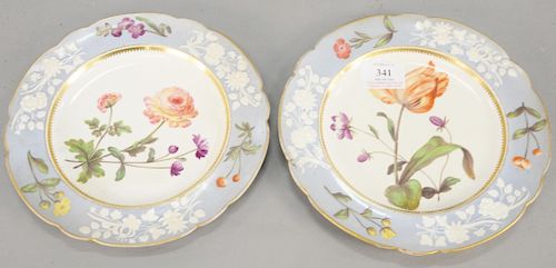 Nineteen piece lot to include early English spode dessert set with painted flowers. plate dia. 8 1/2 in.