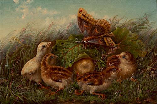 Howard Hill (English/American, d. 1870)  Chicks and Moth