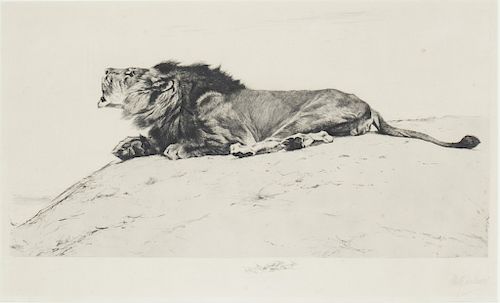 Wilhelm Kuhnert (1865-1926)  Lion