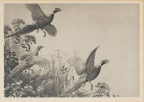 Aiden Lassell Ripley (1896-1969) Pheasants 