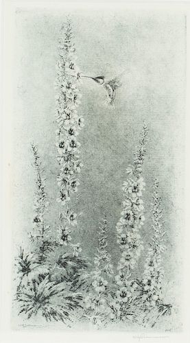 William Simmons (1884-1949) Ariel (Hummingbird with Foxglove) 