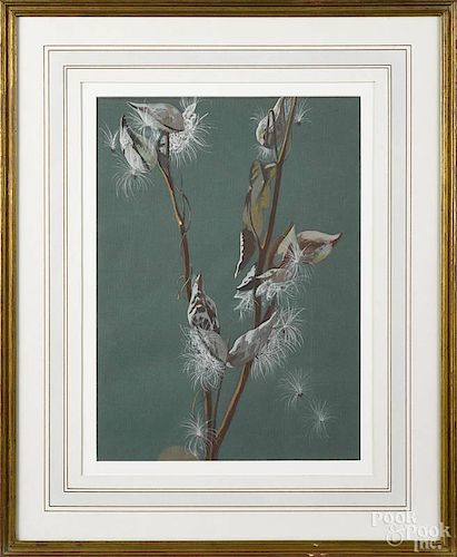 Attributed to Mary Elizabeth Price (American 1877-1965), watercolor and gouache milkweed, 16'' x 12''.