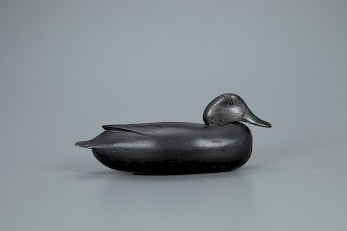 Black Duck Decoy, Daniel G. English (1883-1962)