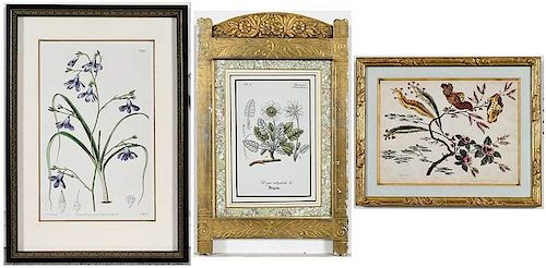 Group of 15 Framed Botanical Prints