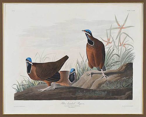 John James Audubon