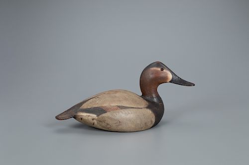 Classic 1936 Canvasback Hen Decoy, The Ward Brothers