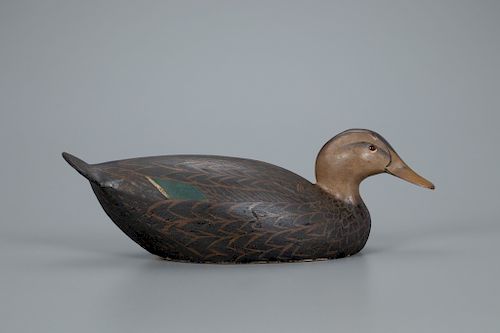 Black Duck Decoy, The Ward Brothers