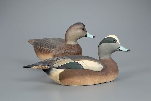 Wigeon Pair, The Ward Brothers