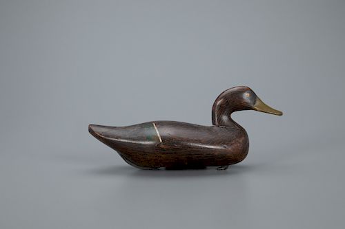 Black Duck Decoy, Robert McGaw (1879-1958)