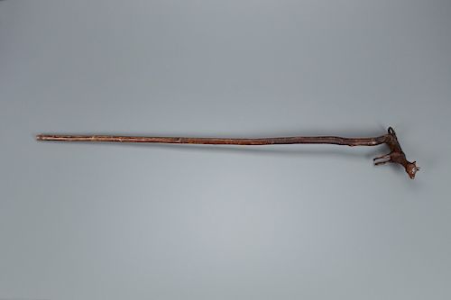 Cane with a Cow Handle