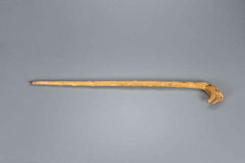 Cane with Dogs Attacking a Wild Boar on Handle 