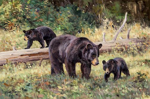 Ken Carlson | Three Bears
