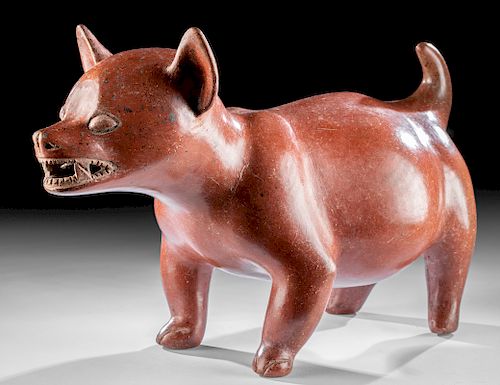 Large Colima Redware Dog - Museum Quality