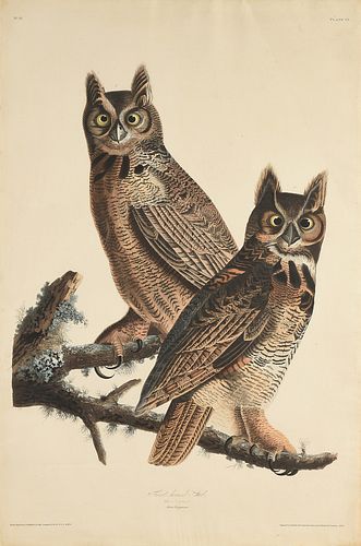 JOHN JAMES AUDUBON (American 1785-1581) AN ELEPHANT FOLIO PRINT, "Great Horned Owl," 1827-1838,