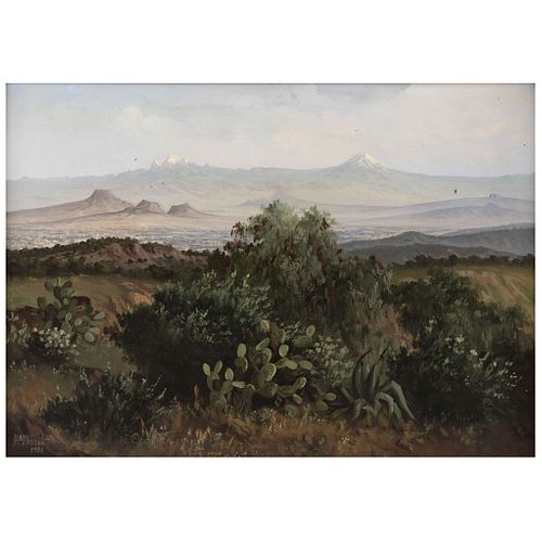 SALOMÓN HERNÁNDEZ CASTRO, Valle de México ("Valley of Mexico"), Signed and dated Mexico July 1981 front and back,Oil/Canvas, 19.8 x 28" (50.5 x 71 cm)