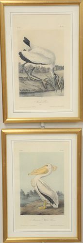 Set of four framed lithographs after John James Audubon, 1785 - 1851, J.T. Bowen lithographs to include "American White Pelican," "Wood Ibis," "Roseat