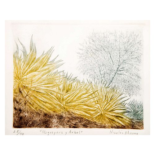 NICOLÁS MORENO, Magueyera y árbol, Firmado, Grabado 25 / 40, Enmarcado, 19 x 24 cm