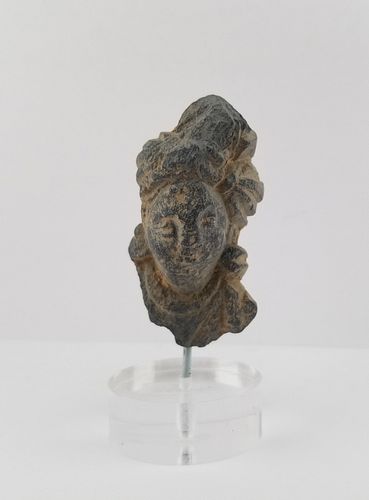 Gandharan Stone Head - ca. 3rd - 4th C. AD