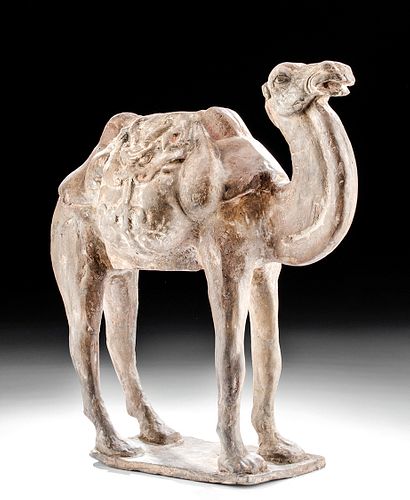 Chinese Tang Dynasty Pottery Camel w/ TL Test