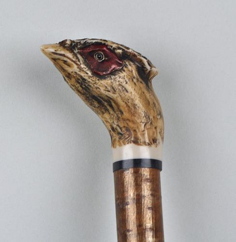 Bird's Head Cane