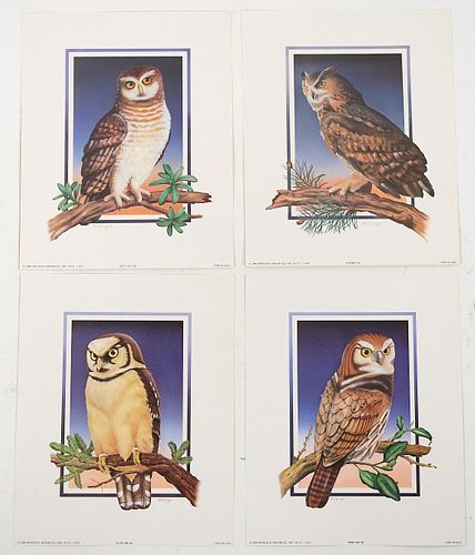 Group, 14 Aviary Owl Litho's Arthur Kaplan, 1960s