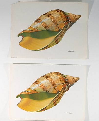Group, 8 Shell Lithos after Petropoulos by Kaplan