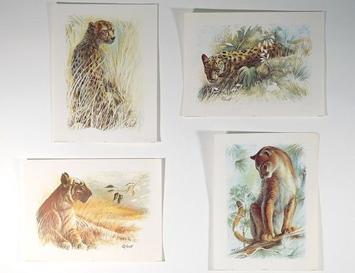 Group, 5 Wild Cat Litho's after Harnett by Kaplan