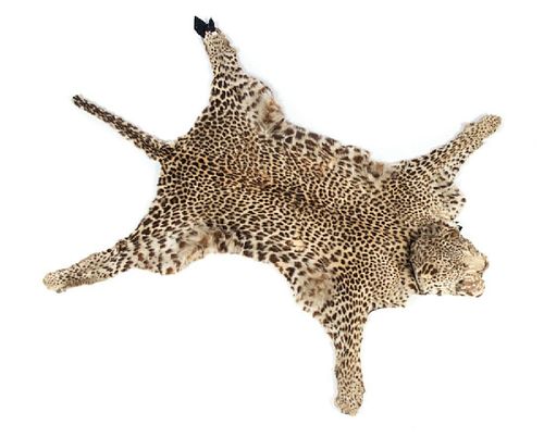 Leopard Skin Rug