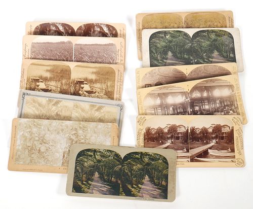 (10) Antique Florida real-photo Stereoview Cards