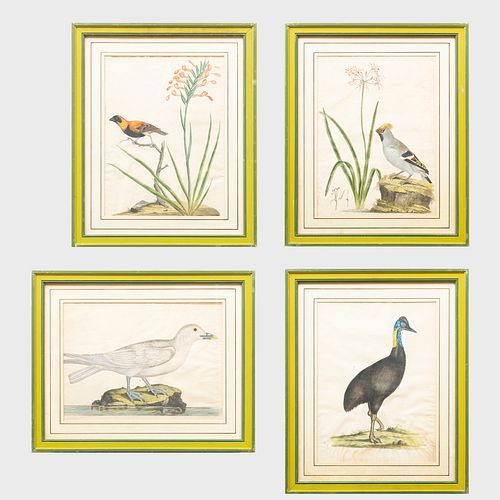 European School: Ornithology: Four Plates