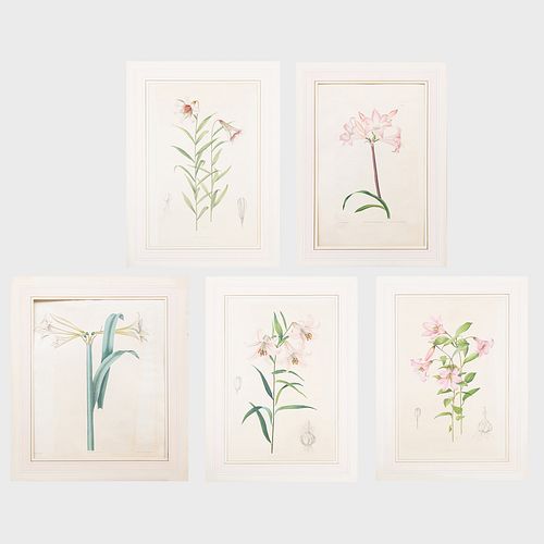 European School: Amaryllis and Lilies: Five Plates