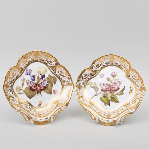 Pair of Derby Porcelain Insect Painted Shell Shaped Dishes