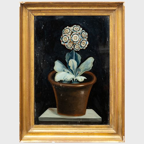 Reverse Painting on Glass of a Potted Auricula