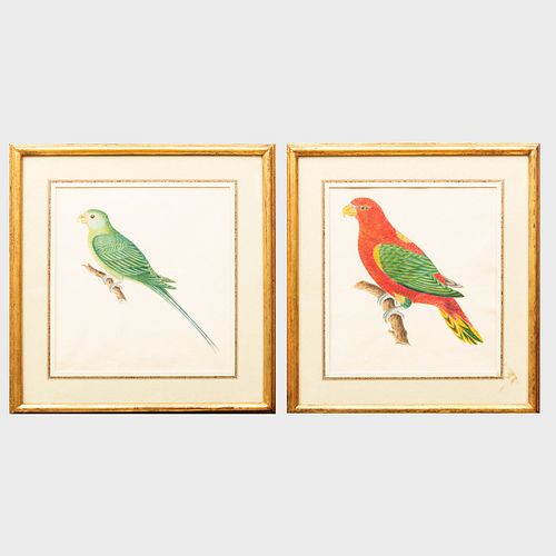 English School: Green Parrot; and Red Parrot