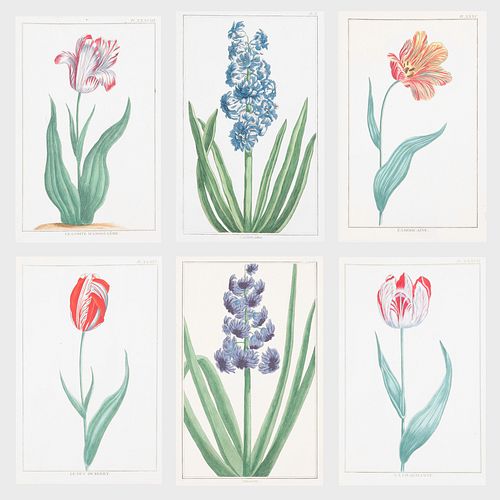 Pierre Joseph Buchoz (1731-1807): Collection ColorÃ©e des Plus Belles VariÃ©tÃ©s de Tulipes: Forty-five Plates