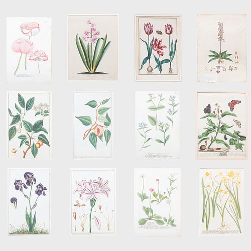 Miscellaneous  Group of Twenty Botanical Prints