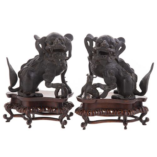 Pair Chinese Bronze Foo Dogs