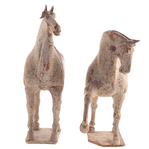 Rare Pair Chinese Tang Terracotta Horses