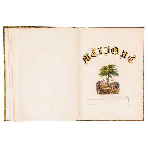 Mexique. Contiene: Descripción general de Mexique, la vegetación de México... 11 h., manuscripts + 11 watercolors.
